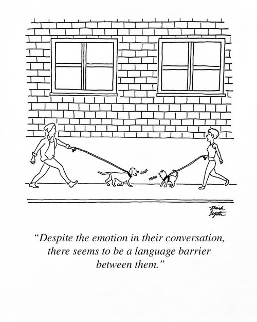 "Despite the emotion in their conversation, there seems to be a language barrier between them."