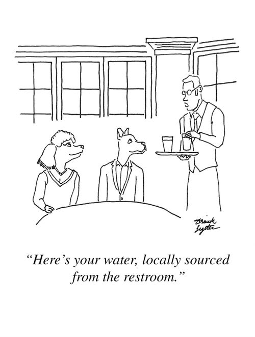 "Here's your water, locally sourced from the restroom."