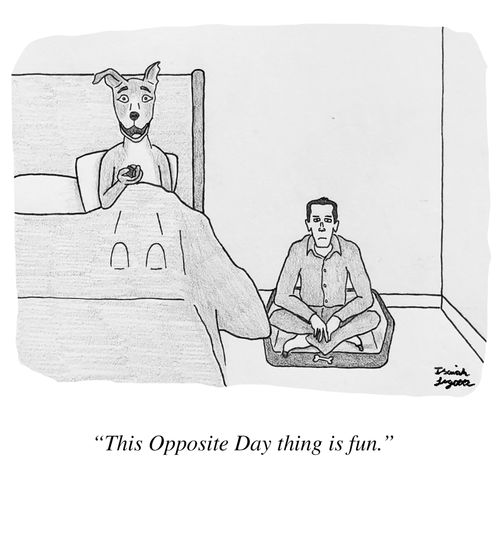 "This Opposite Day thing is fun."