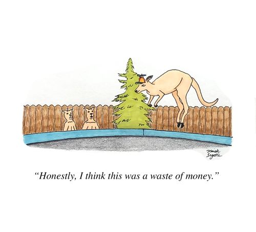 "Honestly, I think this was a waste of money."