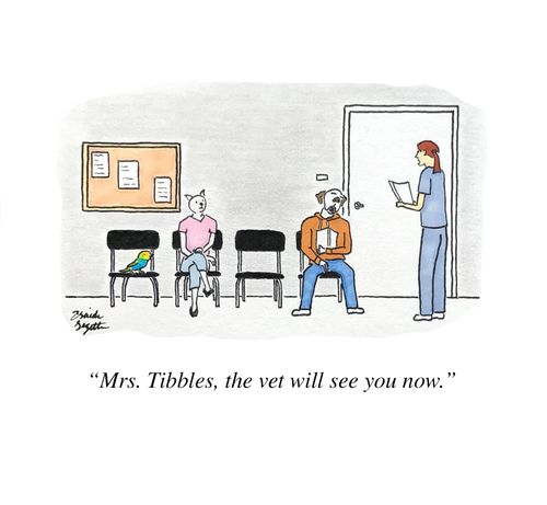"Mrs. Tibbles, the vet will see you now."