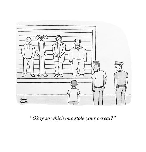 "Okay so which one stole your cereal?"