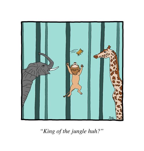 "King of the jungle, huh?"