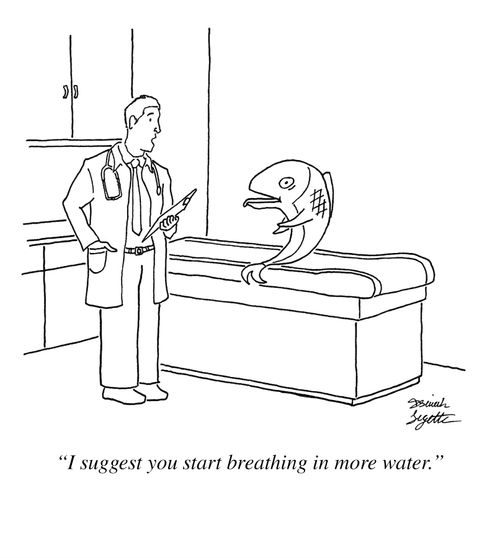 "I suggest you start breathing in more water."