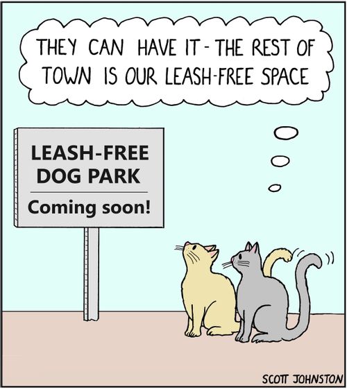 "They can have it - the rest of town is our leash-free space."
