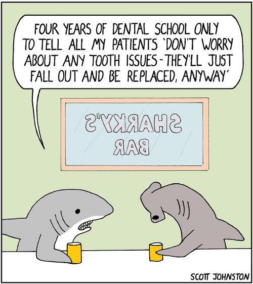 "Four years of dental school only to tell all my patients 'Don't worry about any tooth issues - they'll just fall out and be replaced, anyway'."