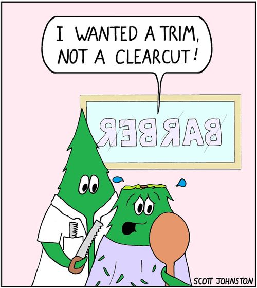 "I wanted a trim, not a clearcut!"