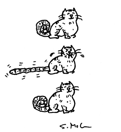 Party Favor Cat  
