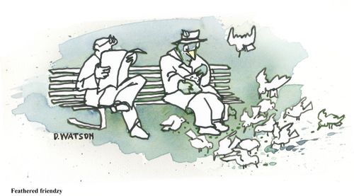 Feathered frenzy