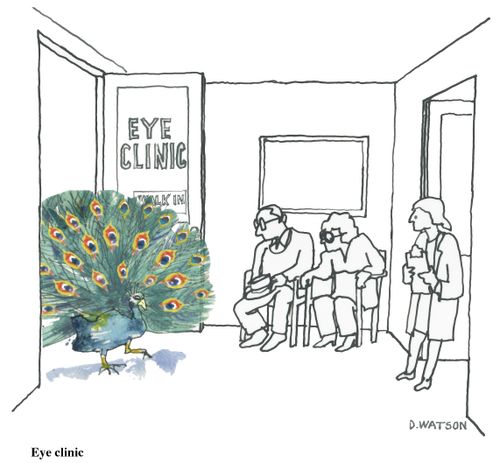 Eye clinic