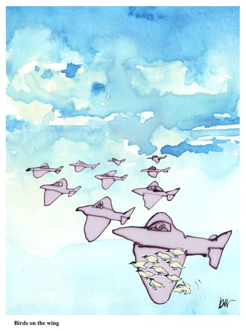 Birds on the wing