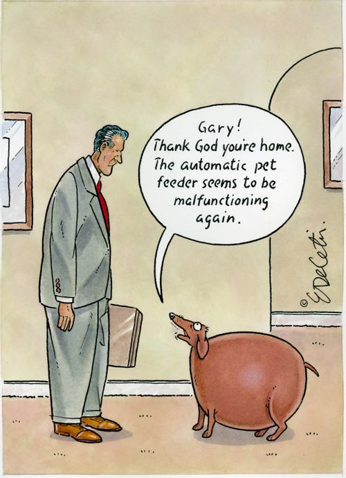 "Gary! Thank God you're home. The automatic pet feeder seems to be malfunctioning again."