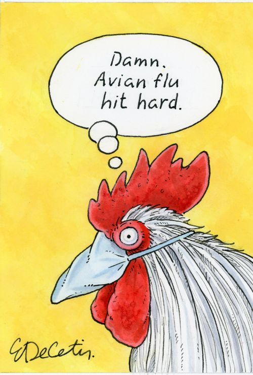 Damn. Avian flu hit hard.