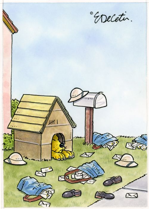"Dog house"