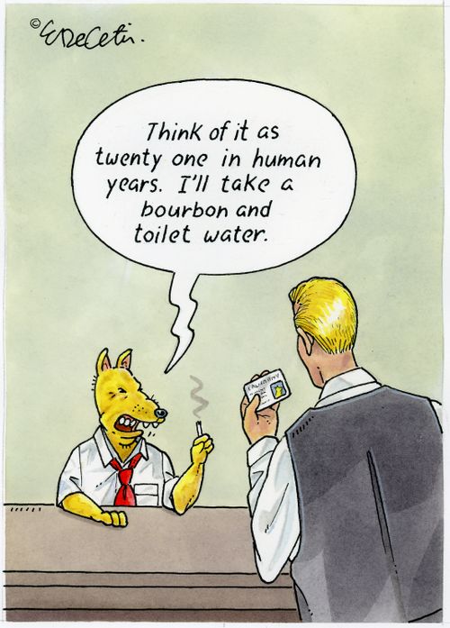 "Think of it as twenty one in human years. I'll take a bourbon and toilet water."