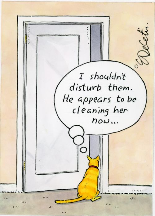 "I shouldn't disturb them. He appears to be cleaning her now..."