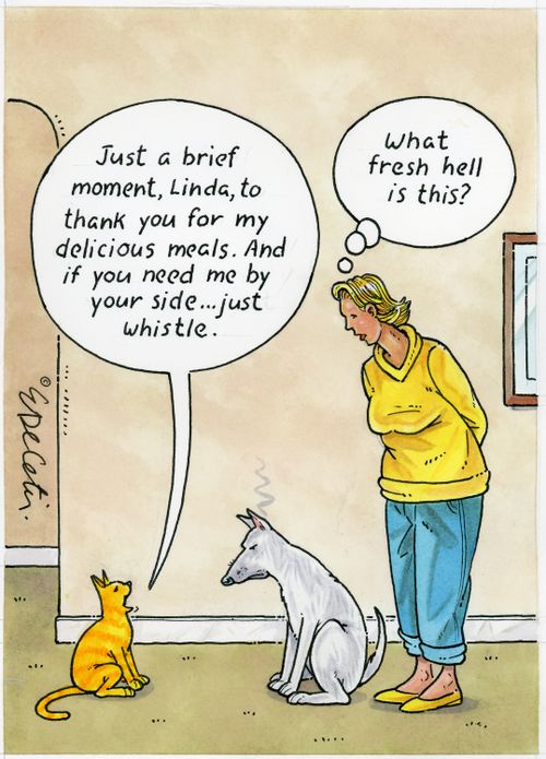 "Just a brief moment, Linda, to thank you for my delicious meals. And if you need me by your side... just whistle."  "What fresh hell is this?"