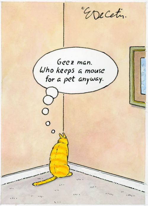 "Geez man. Who keeps a mouse for a pet anyway."