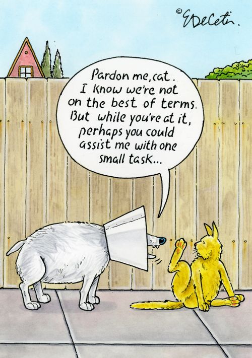 "Pardon me, cat. I know we're not on the best of terms. But while you're at it, perhaps you could assist me with one small task..."