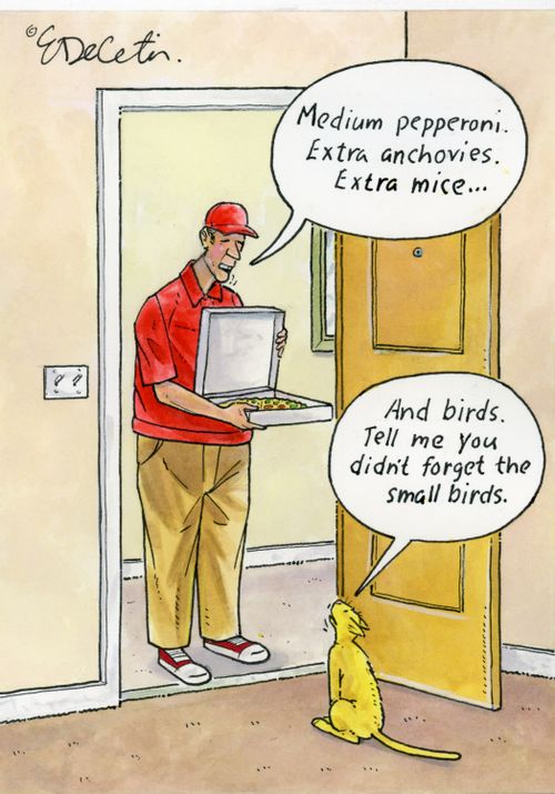 "Medium pepperoni. Extra anchovies. Extra mice..." "And birds. Tell me you didn't forget the small birds."