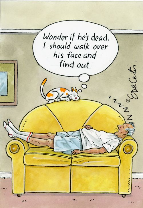 "Wonder if he's dead. I should walk over his face and find out."