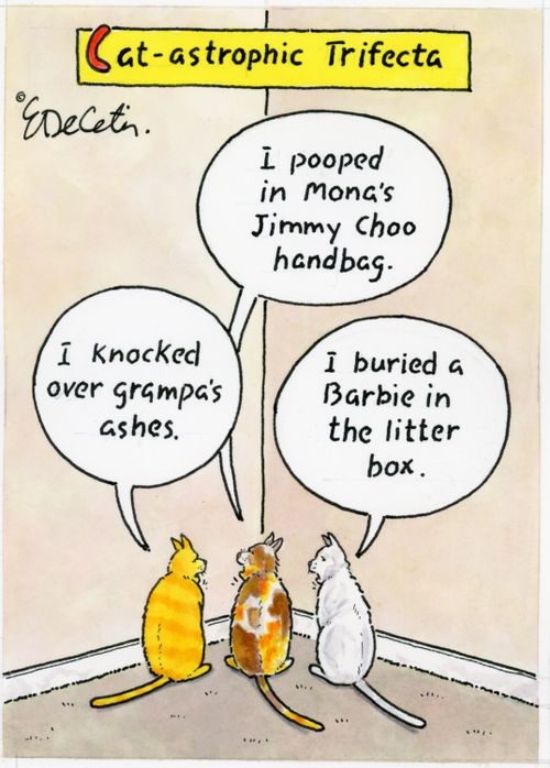 "Cat-astrophic Trifecta"  "I pooped in Mona's Jimmy Choo handbag."  "I knocked over grampa's ashes."  "I buried a Barbie in the litter box."
