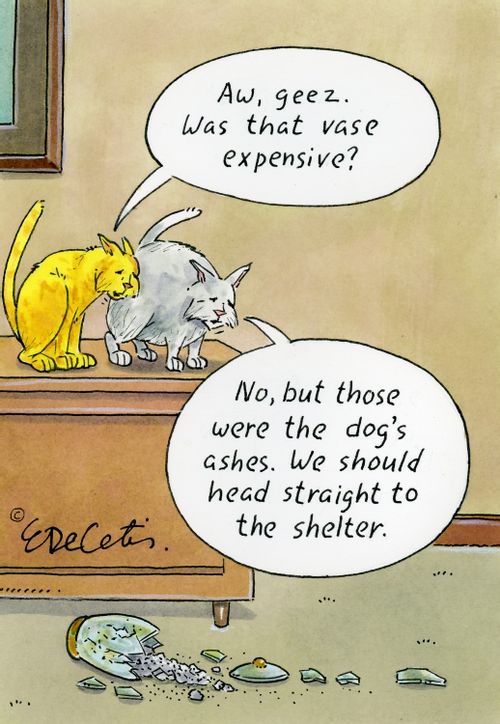 "Aw, geez. Was that vase expensive?" "No, but those were the dog's ashes. We should head straight to the shelter."