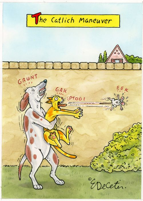 "The Catlich Maneuver"