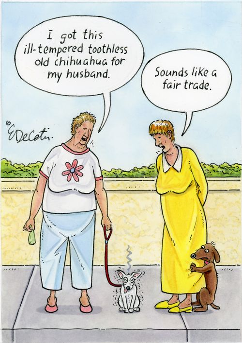 "I got this ill-tempered toothless old chihuahua for my husband." "Sounds like a fair trade."