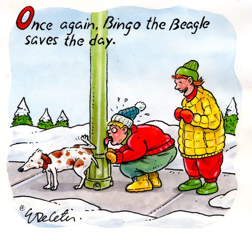 "Once again, Bingo the Beagle saves the day."