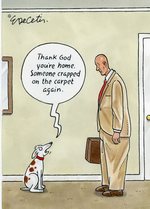 "Thank God you're home. Someone crapped on the carpet again."