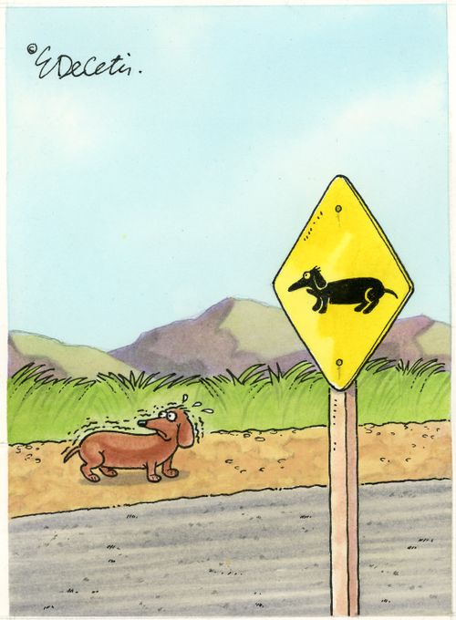 Daschund Warning