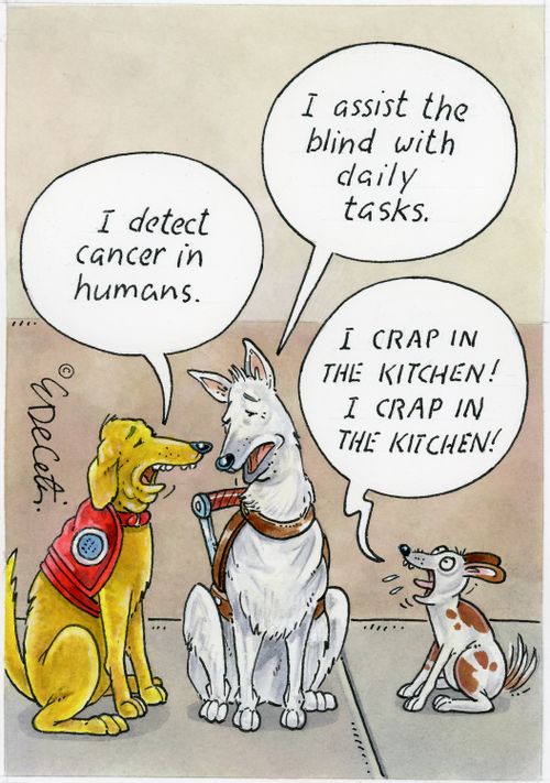 "I detect cancer in humans." "I assist the blind with daily tasks." "I crap in the kitchen! I crap in the kitchen!"