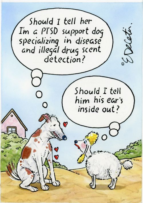 "Should I tell her I'm a PTSD support dog specializing in disease and illegal drug scent detection?"  "Should I tell him his ear's inside out?"