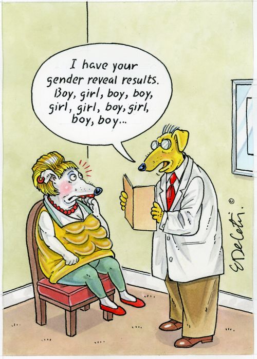 "I have your gender reveal results. Boy, girl, boy, boy, girl, girl, boy, girl, boy, boy..."