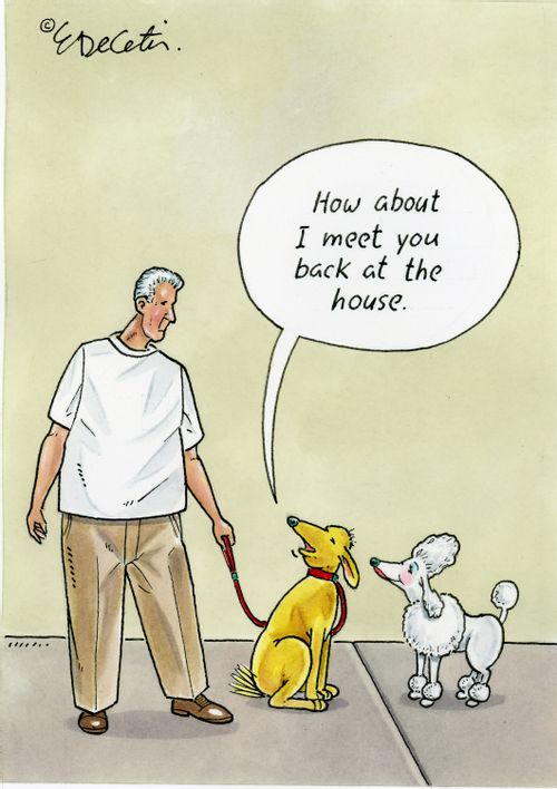 How about I meet you back at the house.