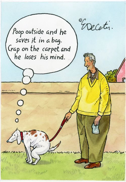 "Poop outside and he saves it in a bag. Crap on the carpet and he loses his mind."