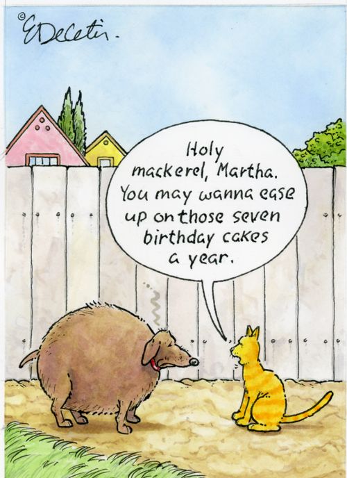 "Holy mackerel, Martha. You may wanna ease up on those seven birthday cakes a year."