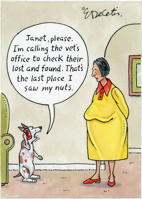 "Janet, please. I'm calling the vet's office to check their lost and found. That's the last place I saw my nuts."