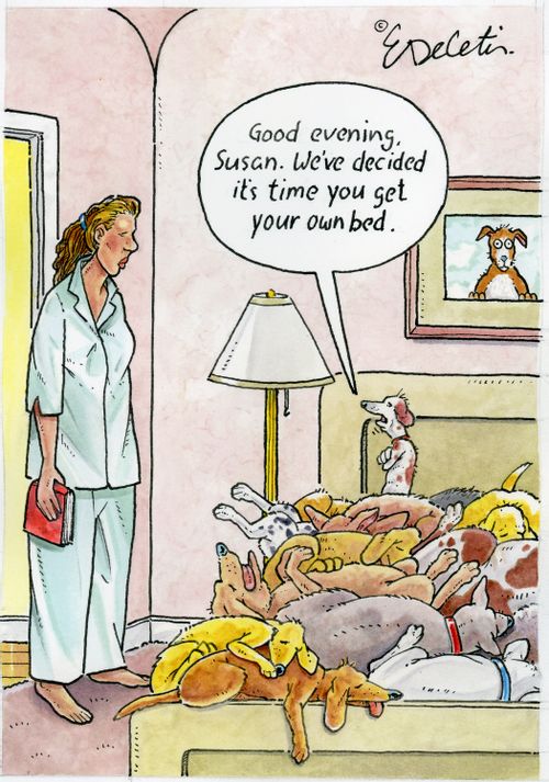 "Good evening, Susan. We've decided it's time you get your own bed."