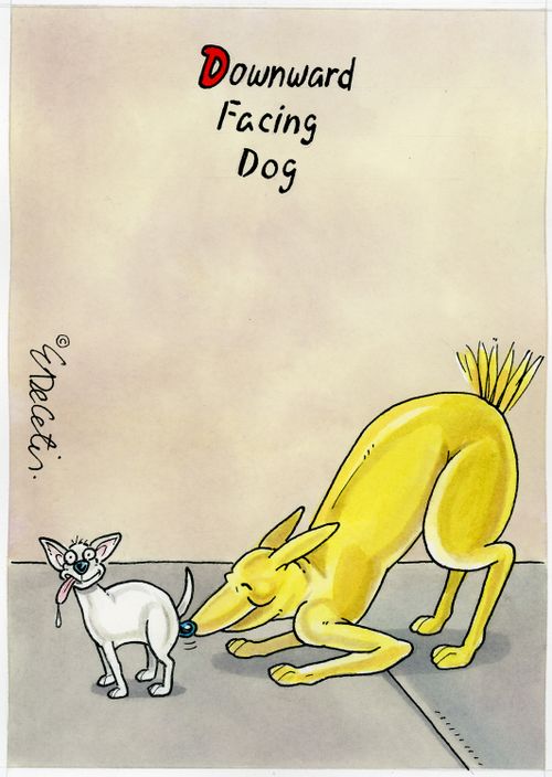 "Downward facing dog"