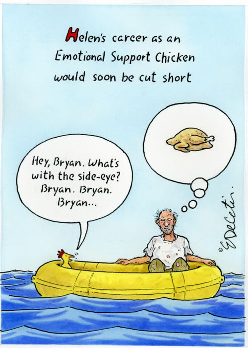 "Helen's career as an emotional support chicken would soon be cut short.  Hey, Bryan. What's with the side-eye? Bryan. Bryan. Bryan..."