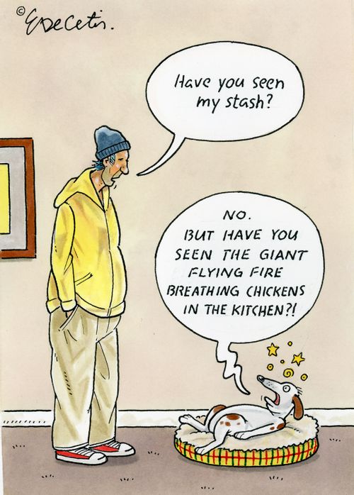 "Have you seen my stash?" "No. But have you seen the giant flying fire breathing chickens in the kitchen?!"