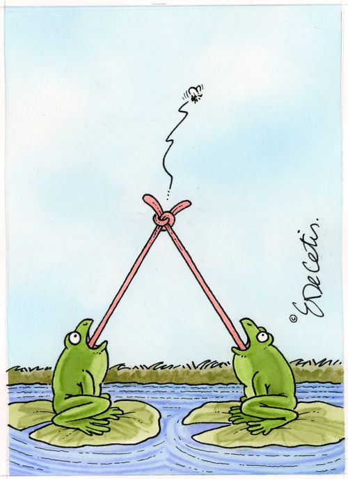 Entangled Frigs