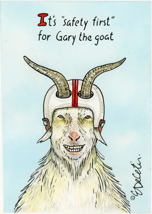 It's 'safety first' for Gary the goat.