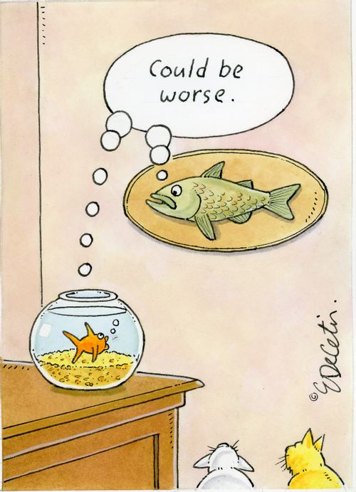 "Could be worse."