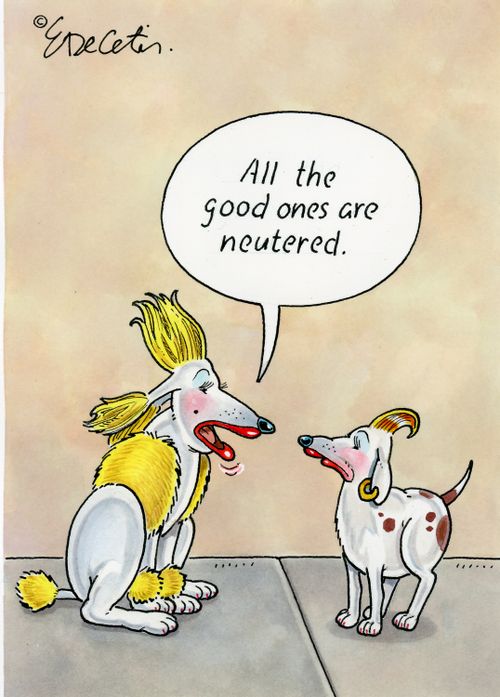 "All the good ones are neutered."