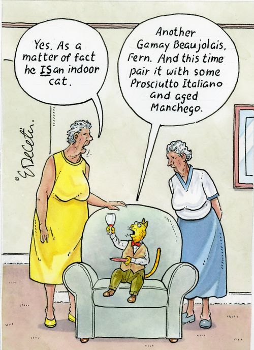 Yes. As a matter of fact he IS an indoor cat.