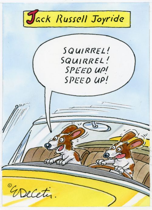 "Squirrel! Squirrel! Speed up! Speed up!"
