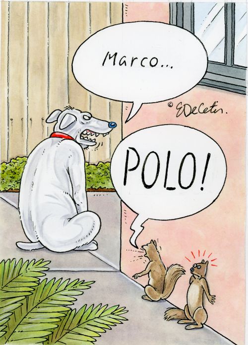 "Marco... POLO!"